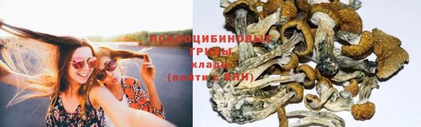 хмурый Алексин