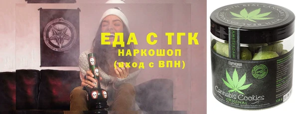 хмурый Алексин