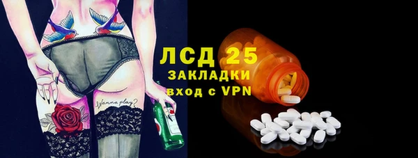 хмурый Алексин