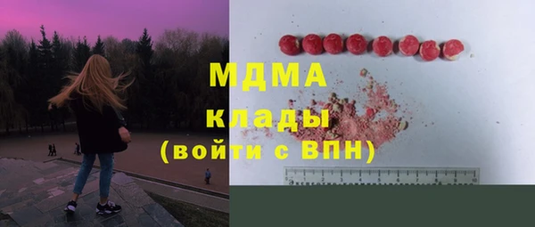 PSILOCYBIN Алзамай