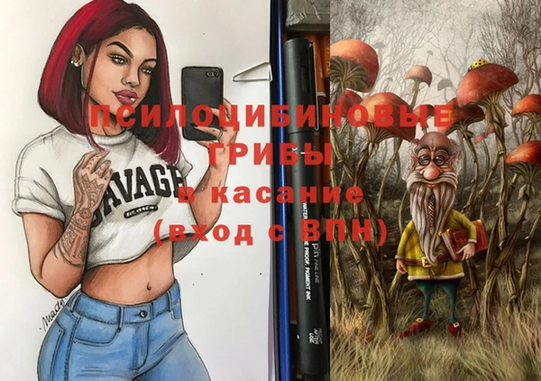 PSILOCYBIN Алзамай