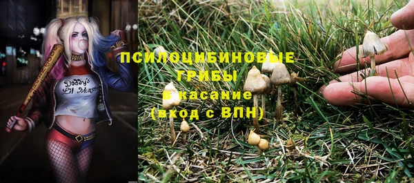 хмурый Алексин