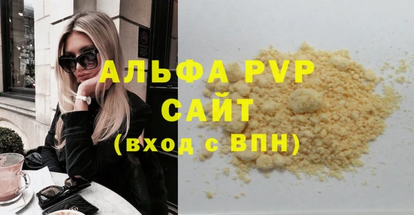 стаф Абинск