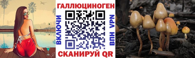 МЕГА зеркало  Сатка  Псилоцибиновые грибы MAGIC MUSHROOMS 